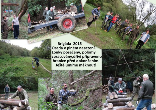 Brigáda